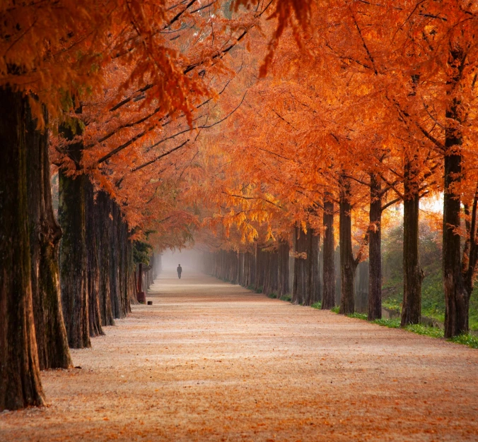 Gadgeturi pentru iarnă, vară, toamnă și primăvară