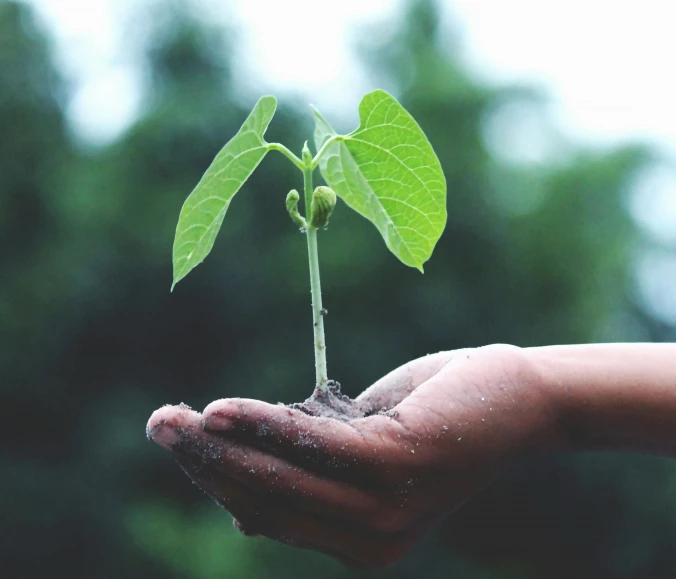 De ce să investiți în gadgeturi ecologice?
