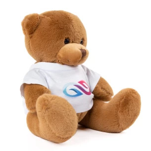 Ursul Yogi - CheapGadgets.co.uk