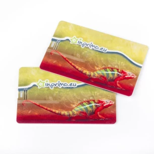 Flash Drive Card de credit 16Gb