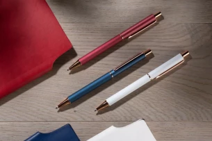 Pix cu bilă VERNO - Alb