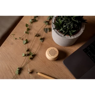 Difuzor wireless din lemn 3W Mae - lemn