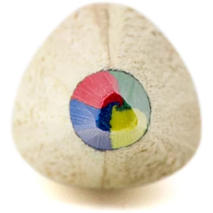 Creion, stylus multicolor Varius - maro deschis