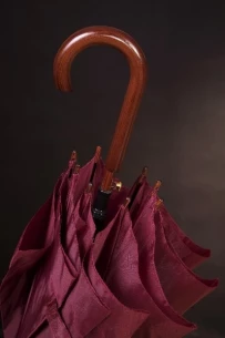 Fernando umbrelă - Purple